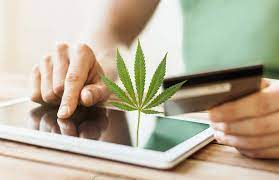 Un nouveau systeme pour acheter du CBD : l’application mobile