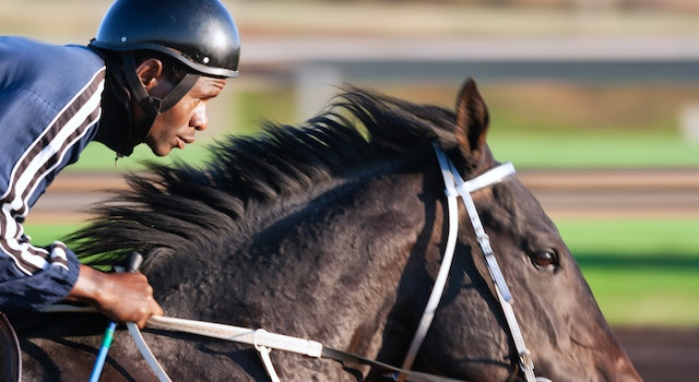 Les facteurs cles a considerer lors de l’analyse des courses hippiques